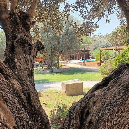 Willa Entre Viejos Olivos Benicolet Zewnętrze zdjęcie